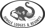 Jungle Lodges