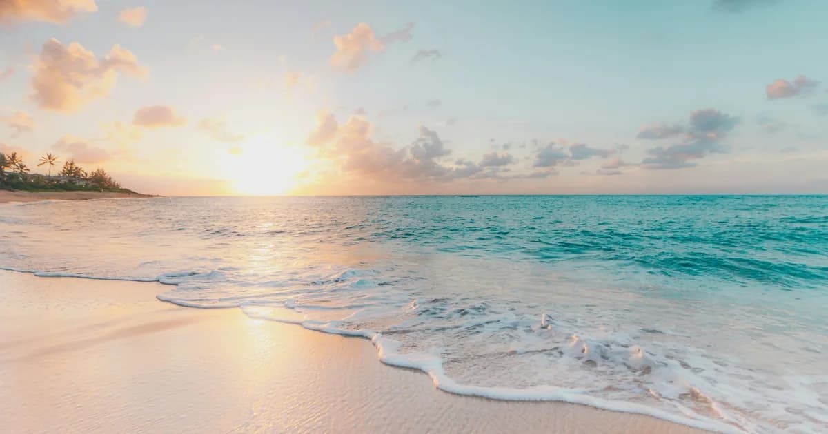 AI Chatbot for Beach Resorts: Seasonal Guide