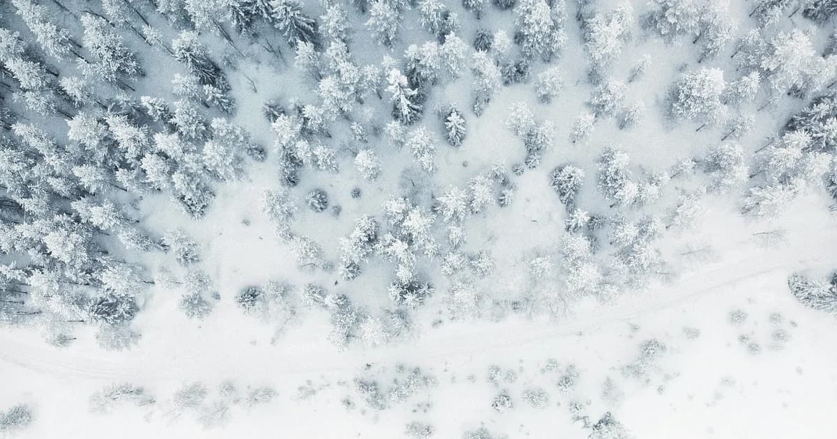 AI Chatbot for Mountain Resorts: Manage Ski Demand 24/7