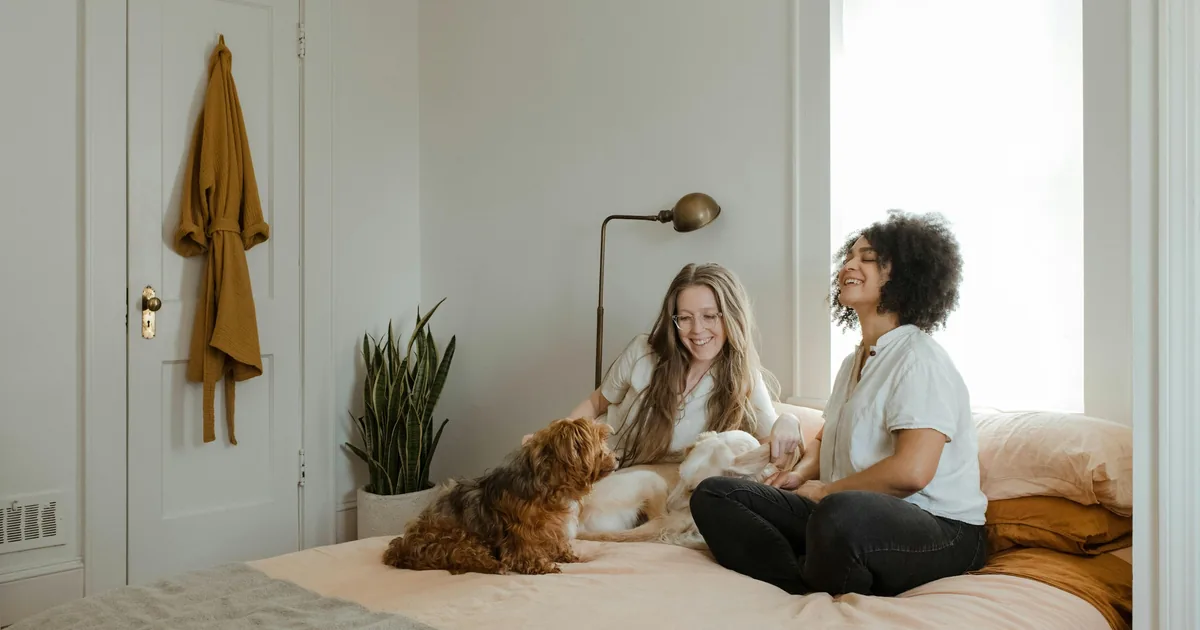 AI Chatbot for Vet Clinics: 24/7 Emergency Triage