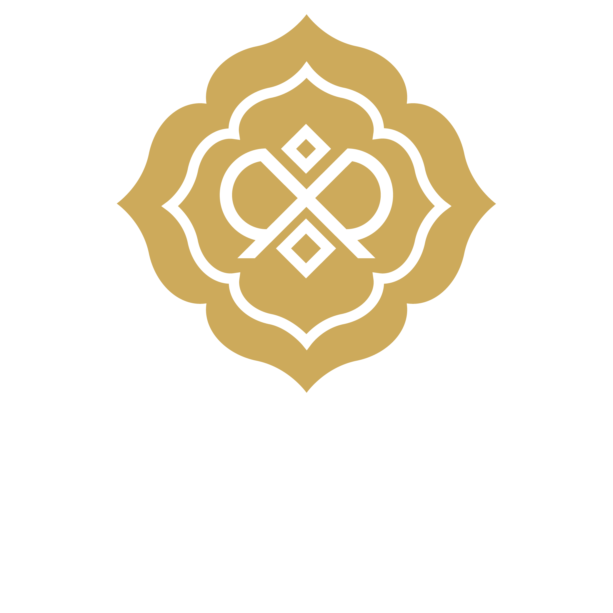 Ridhira Zen logo