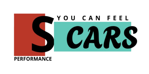 SCARS Group logo